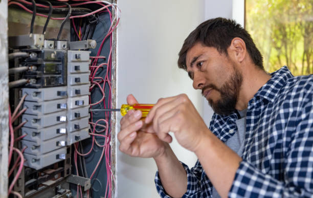 Best Electrical Upgrades for Homes  in Struthers, OH